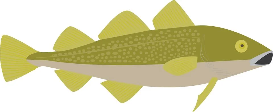Cod Fish Illustrazione stock