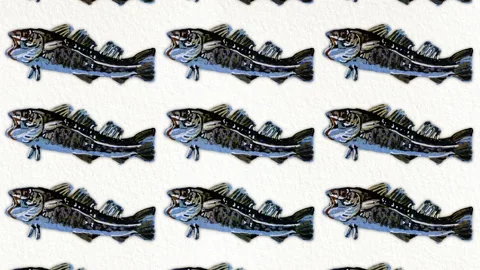 Cod fish pattern, ideal footage for themes such as mediterranean cuisine Stock Footage 135218516