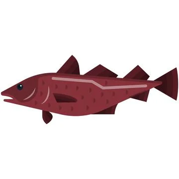 Cod fish vector illustration isolated on white Stock Illustration