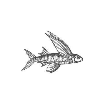 Cod flying fish with wings isolated ocean animal Stock Illustration