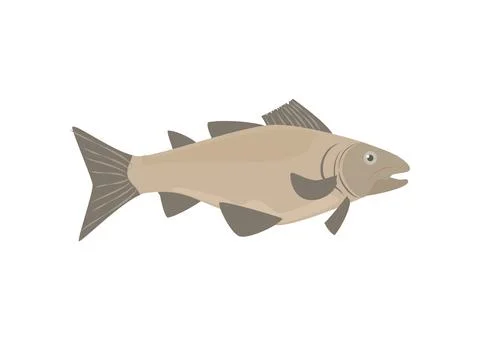 Cod or Codfish cartoon symbol flat vector illustration isolated on white. Stock Illustration