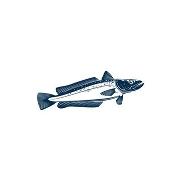 Cod or hake saltwater fish isolated aquatic animal Stock Illustration
