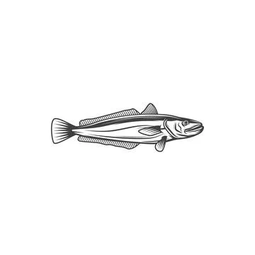 Cod or hake saltwater fish isolate monochrome icon Stock Illustration