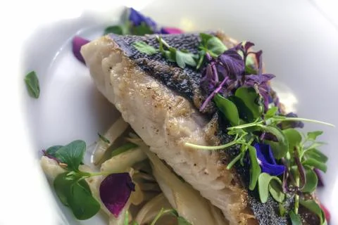 Cod with poached fennel and sedan on truffle butter Stock Photos