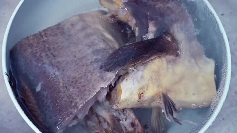 Cod stockfish soaked in running water in a bowl to rehydrate it  Stock Footage 232797784