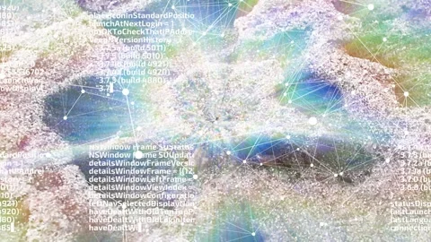 Code and communication: the network bliss of ants. The unified mind of the hive 库存影片 242427112