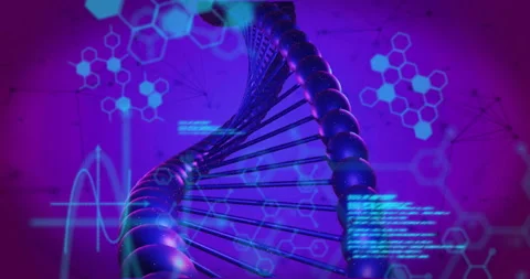 Code blocks appearing on rotating 3D DNA helix shifting to reveal facets for Stock Footage 310153606