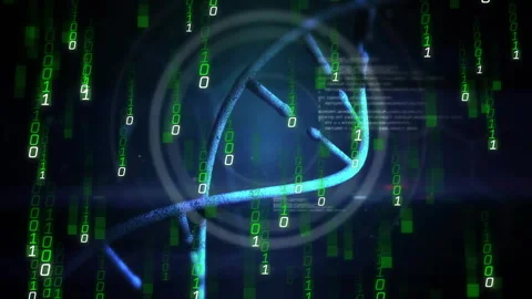 Code cascading helix rotating HUD rings forming ID text fading highlighting Stock Footage 311417053