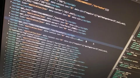 Code developer analyzing software program on the display of the computer. Stock Footage 221887040