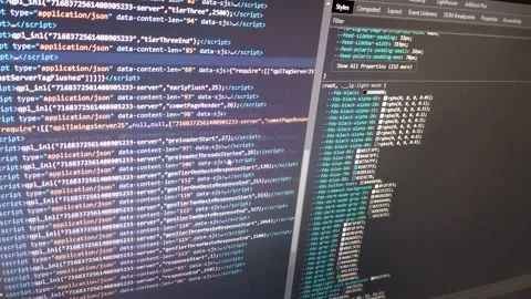 Code developer analyzing software program on the display of the computer. Stock Footage 221887072