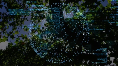 Code overlay appearing through canopy, point cloud pulsing, silhouette shifting, Stock Footage 330713334
