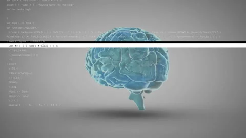 On code scrolling, turquoise 3D brain rotating while glitch bar animating neural Stock Footage 315406459