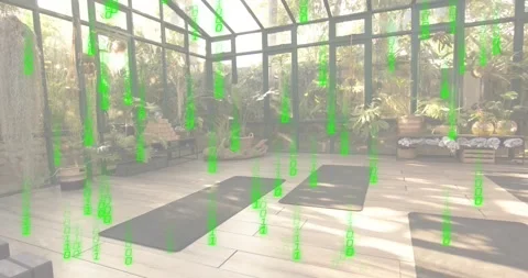 Code streams appearing near windows cascading over yoga mats creating digital Stock Footage 317407217