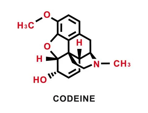 Codeine chemical formula. Codeine chemical molecular structure. Vector Stock Illustration