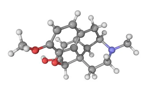 Codeine drug molecule Stock Illustration