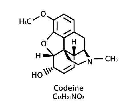 Codeine molecular structure. 3-Methylmorphine skeletal chemical formula Stock Illustration