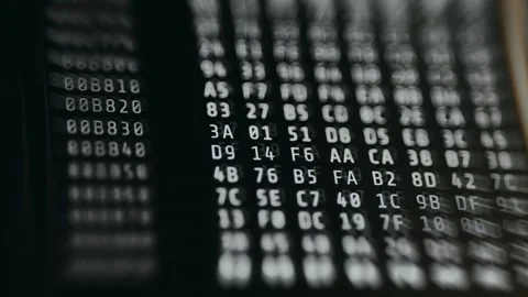 Codes representing bytes of data within a program Video stock 335879729