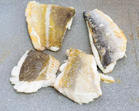 Codfish and sea bream macro 库存照片