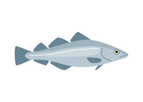 Codfish haddock, cod seafood and underwater color animal. Water delicacy, g.. Stock Illustration