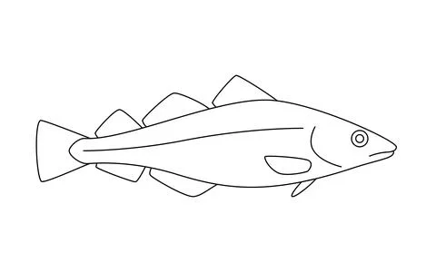 Codfish haddock line art, cod seafood and underwater animal. Water delicacy Stock Illustration