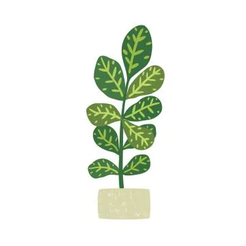 Codiaeum variegatum. Houseplant with potted. Vector illustration Stock Illustration