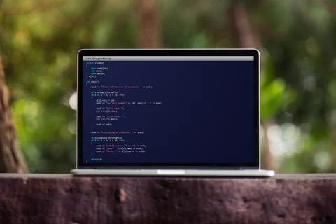 Coding and programming for web development and web design concept using laptop 库存照片