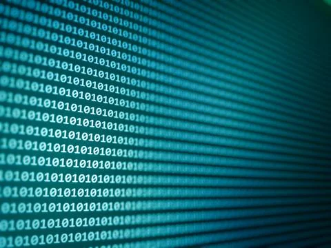 Coding application by programmer developer. Web app coding. Script on compute Foto stock