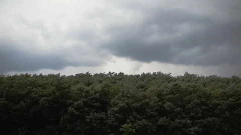 CODRU, MOLDOVA - Codru at cloudy windy day. Codrii is a big forest in the middle Stock Footage 128487363
