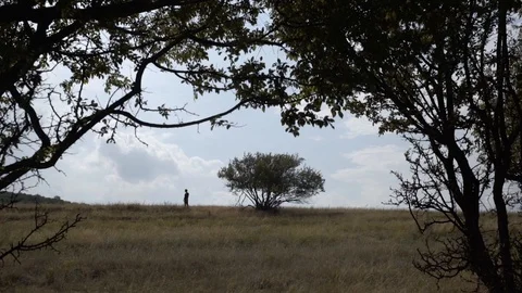 CODRU, MOLDOVA - Man near single tree, on hot summer at cloudy day Stock Footage 128487385