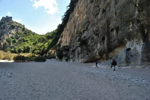 Codula di Luna Stock Photos