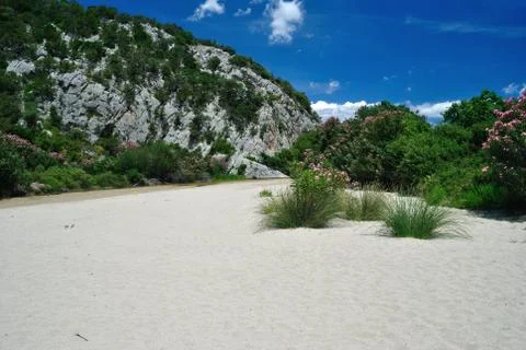 Codula of Luna Stock Photos