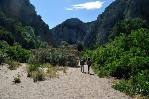 Codula of Luna Stock Photos