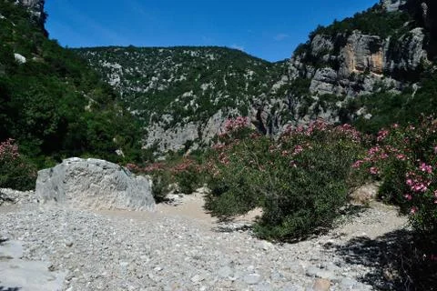 Codula of Luna Stock Photos