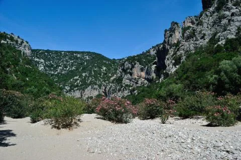 Codula of Luna Stock Photos