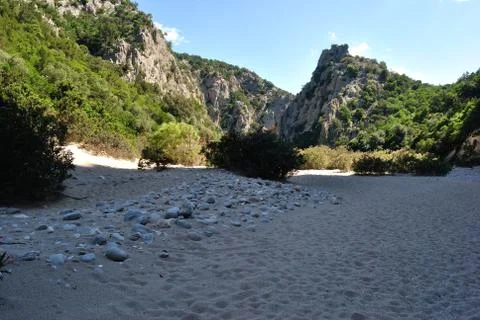 Codula of Luna Stock Photos