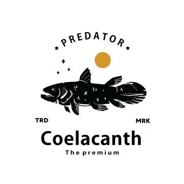 Coelacanth logo vector outline silhouette art icon Stock Illustration