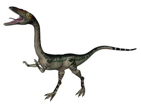 Coelophysis dinosaur - 3D render Stock Illustration