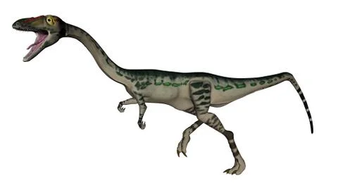 Coelophysis dinosaur - 3D render Stock Illustration