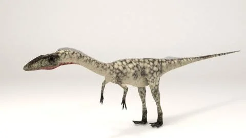 Coelophysis Stockillustratie