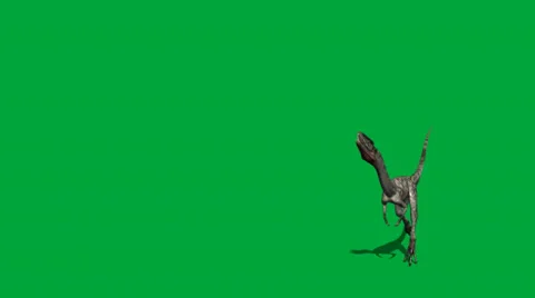 Coelophysis Moving Forward Attack FS Stock Footage 32846559