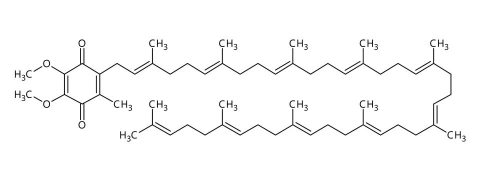 Coenzyme Q10 structural formula of molecular structure Stock Illustration