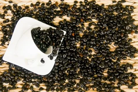 Cofee beans composition 스톡 사진