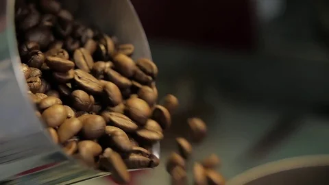 Cofee grains are falling Stock Footage 75910459