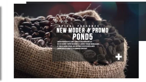 Coffe Bar Corporate Stock After Effects