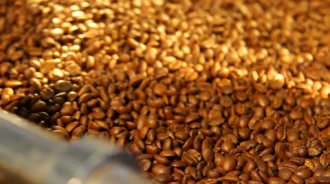 Coffe bean blender SLOW-MO Stock Footage 53811213