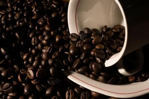 Coffe beans and cup. Stock Photos