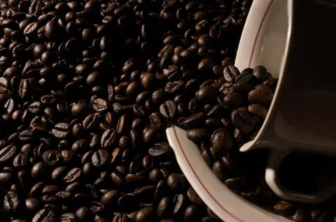 Coffe beans and cup. Stock Photos