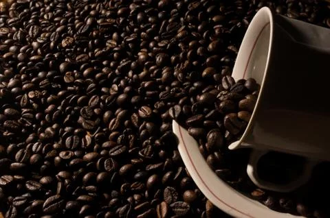 Coffe beans and cup. Stock Photos
