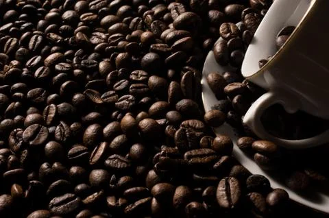 Coffe beans and cup. Stock Photos