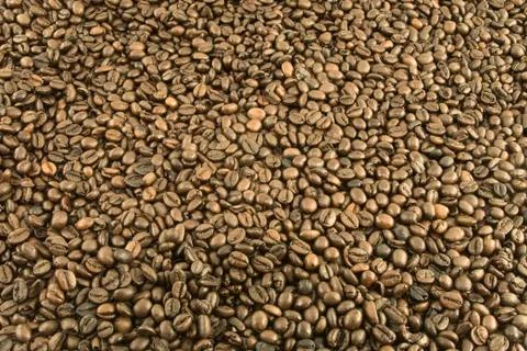 Coffe beans for background Foto stock